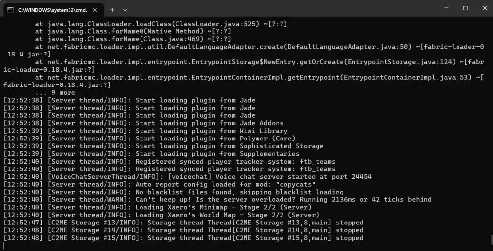 The terminal window when the Homestead server is online