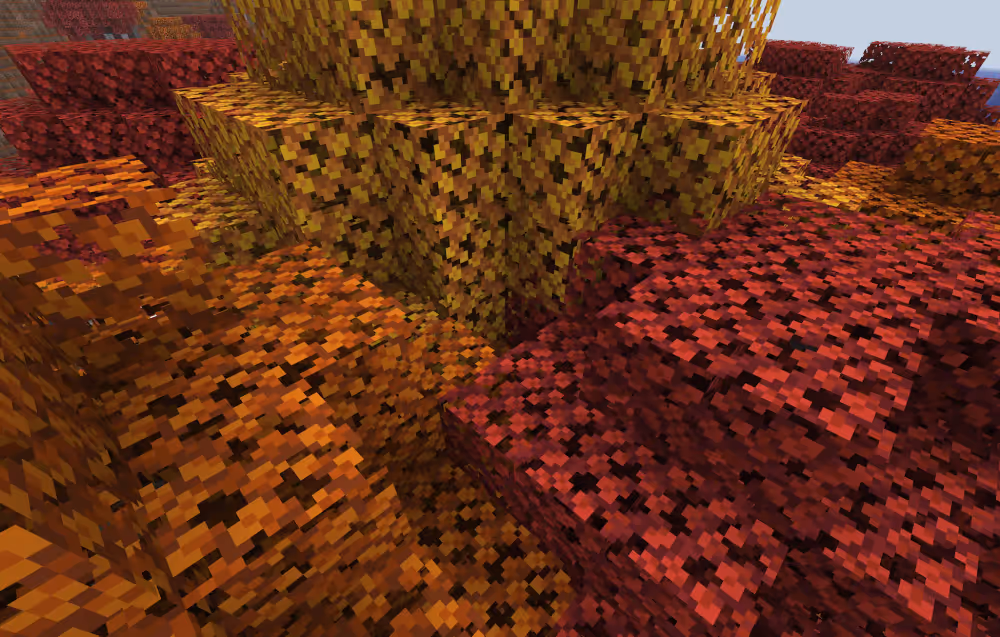 The three Poplar Tree leaf colors, red, orange, and yellow, side by side